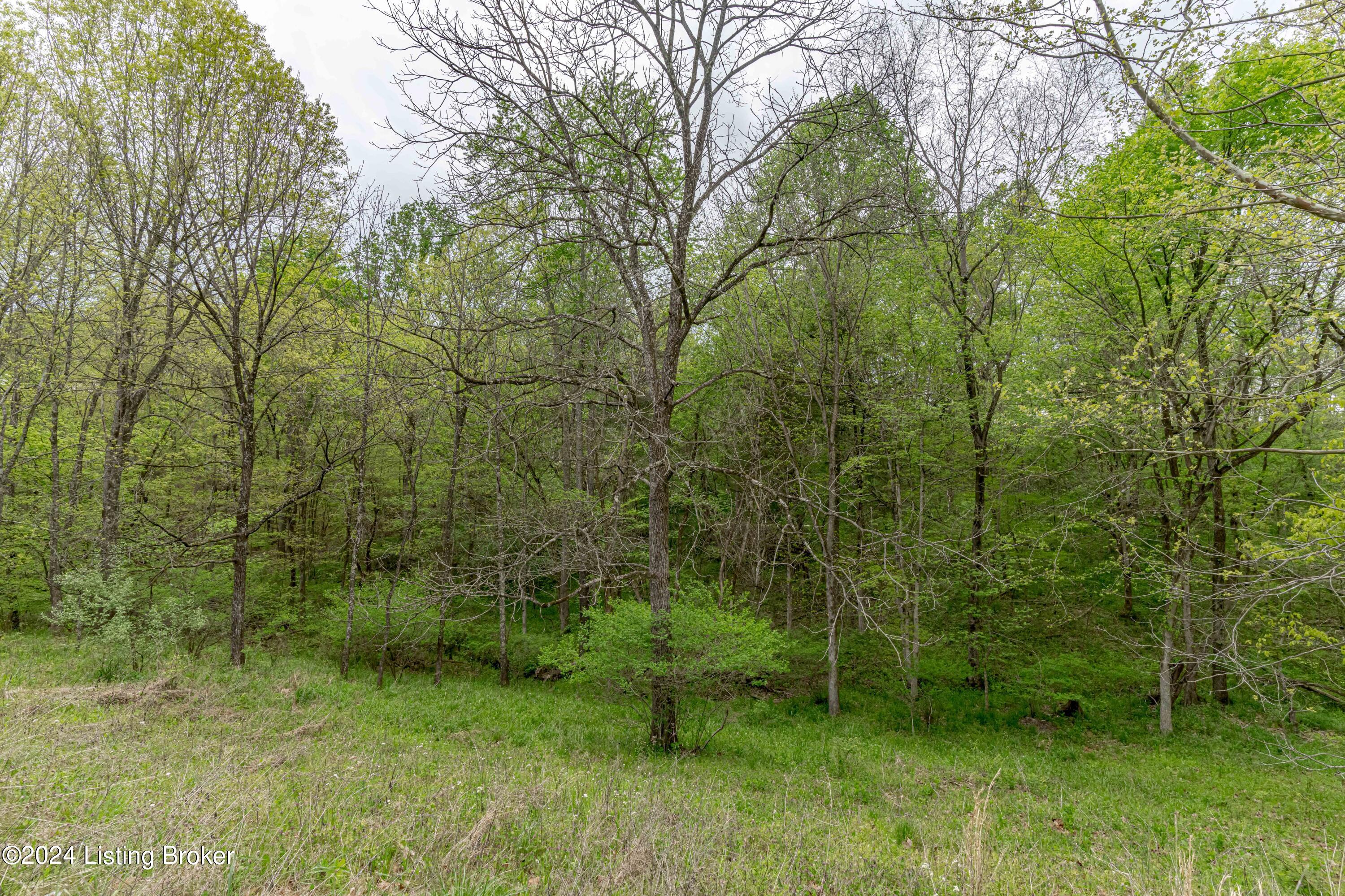 9881 Waddy Road Waddy, KY 40076 - Photo 53 of 80 DSC05368