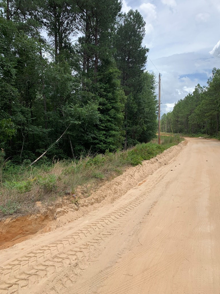 0 Paul Road Monetta, SC 29105 - Photo 5 of 14