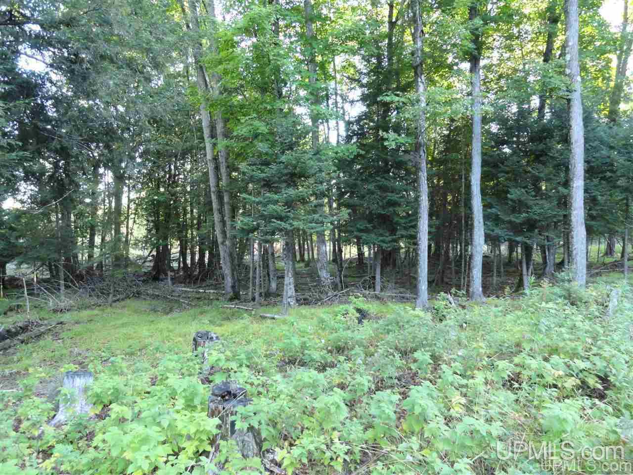 5-acres Co Rd Sa Cornell, MI 49818 - Photo 18 of 27