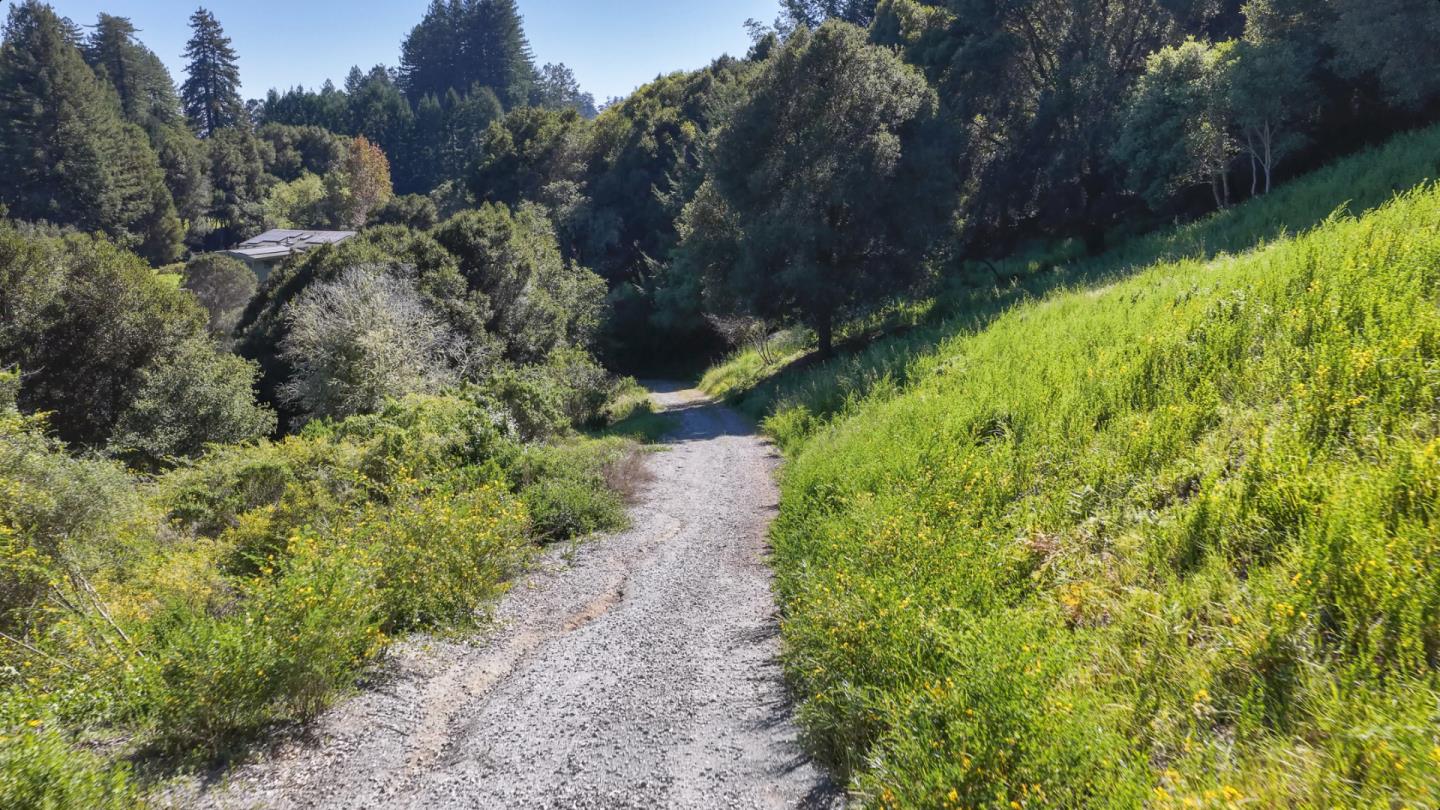 1073 Larsen Road Aptos, CA 95003 - Photo 5 of 18 a view of a garden with large trees