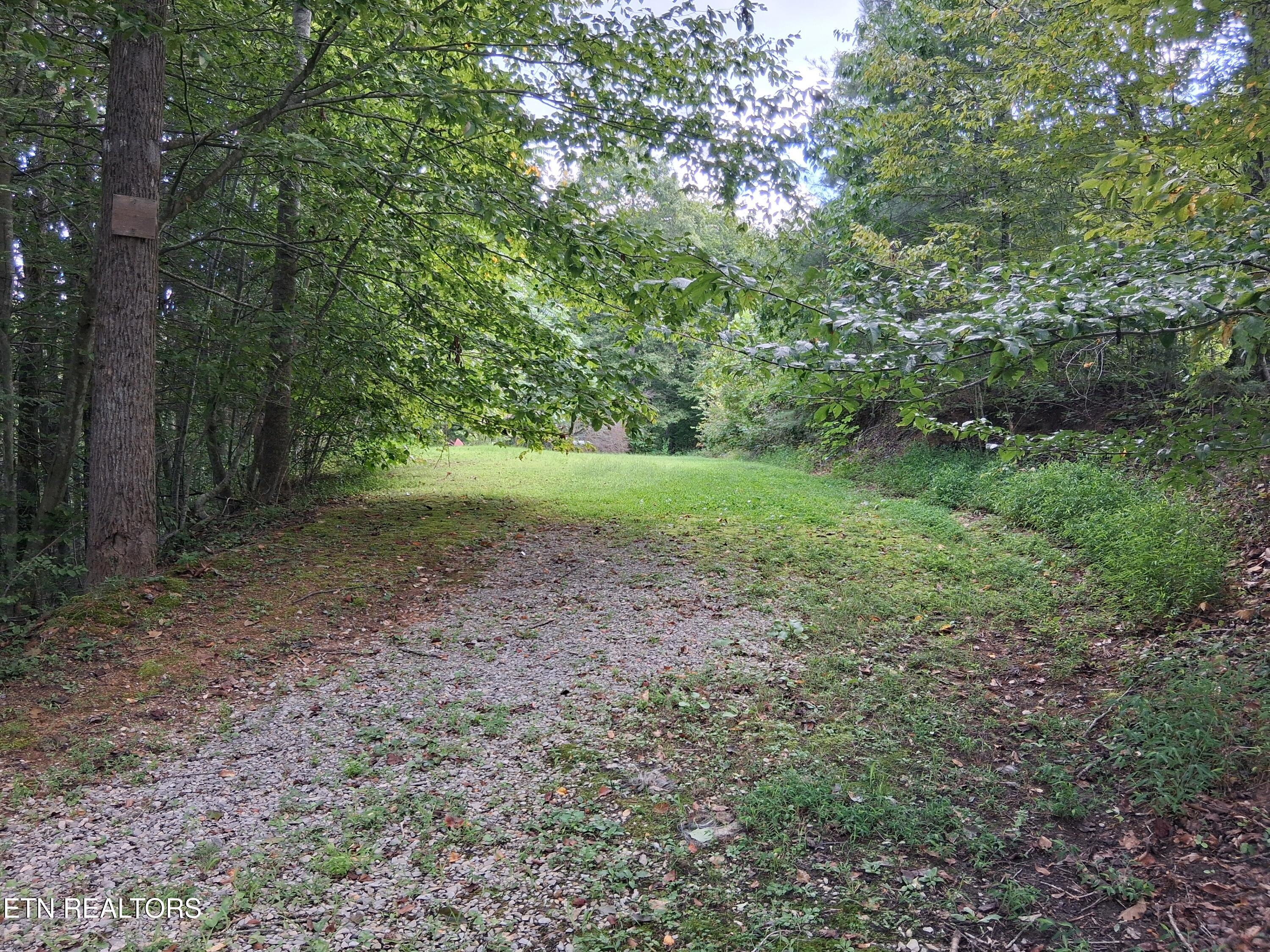 Fugate Road Del Rio, TN 37727 - Photo 4 of 8 20250825_100645