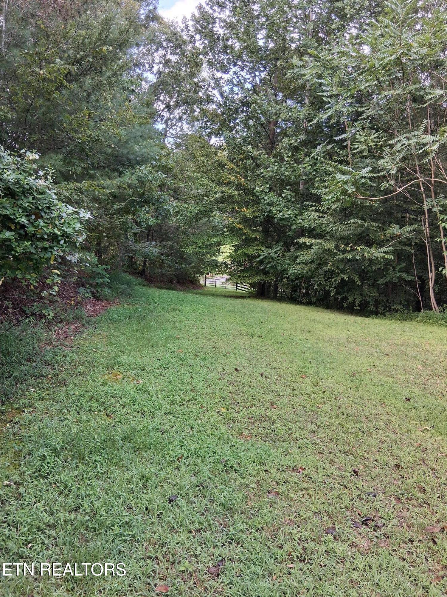 Fugate Road Del Rio, TN 37727 - Photo 5 of 8 20250825_100916