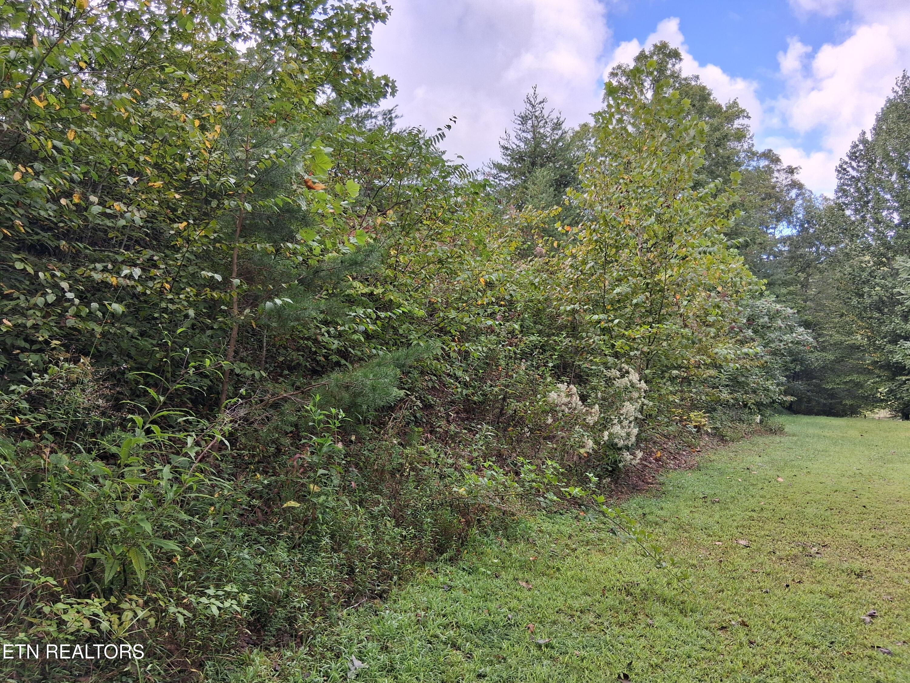 Fugate Road Del Rio, TN 37727 - Photo 6 of 8 20250825_100832