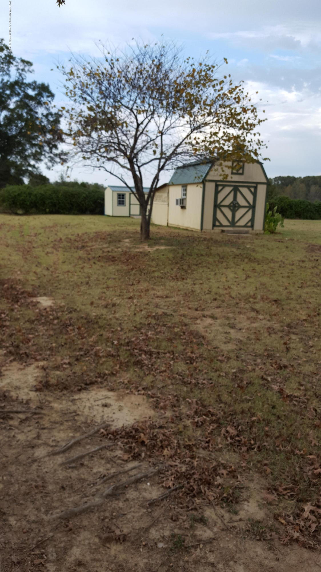 371 Norris Road Senatobia, MS 38668 - Photo 7 of 7 Norris Rd Storage