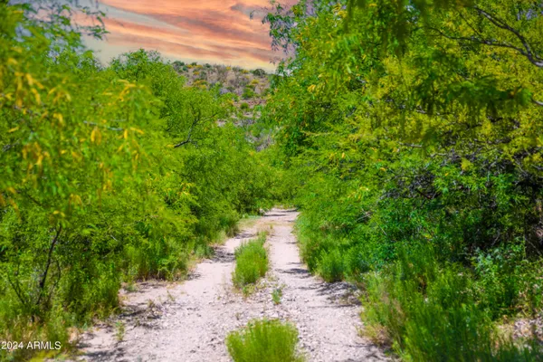 a view of a pathway both side of yard