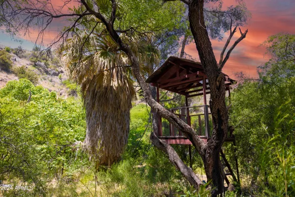 a view of a backyard
