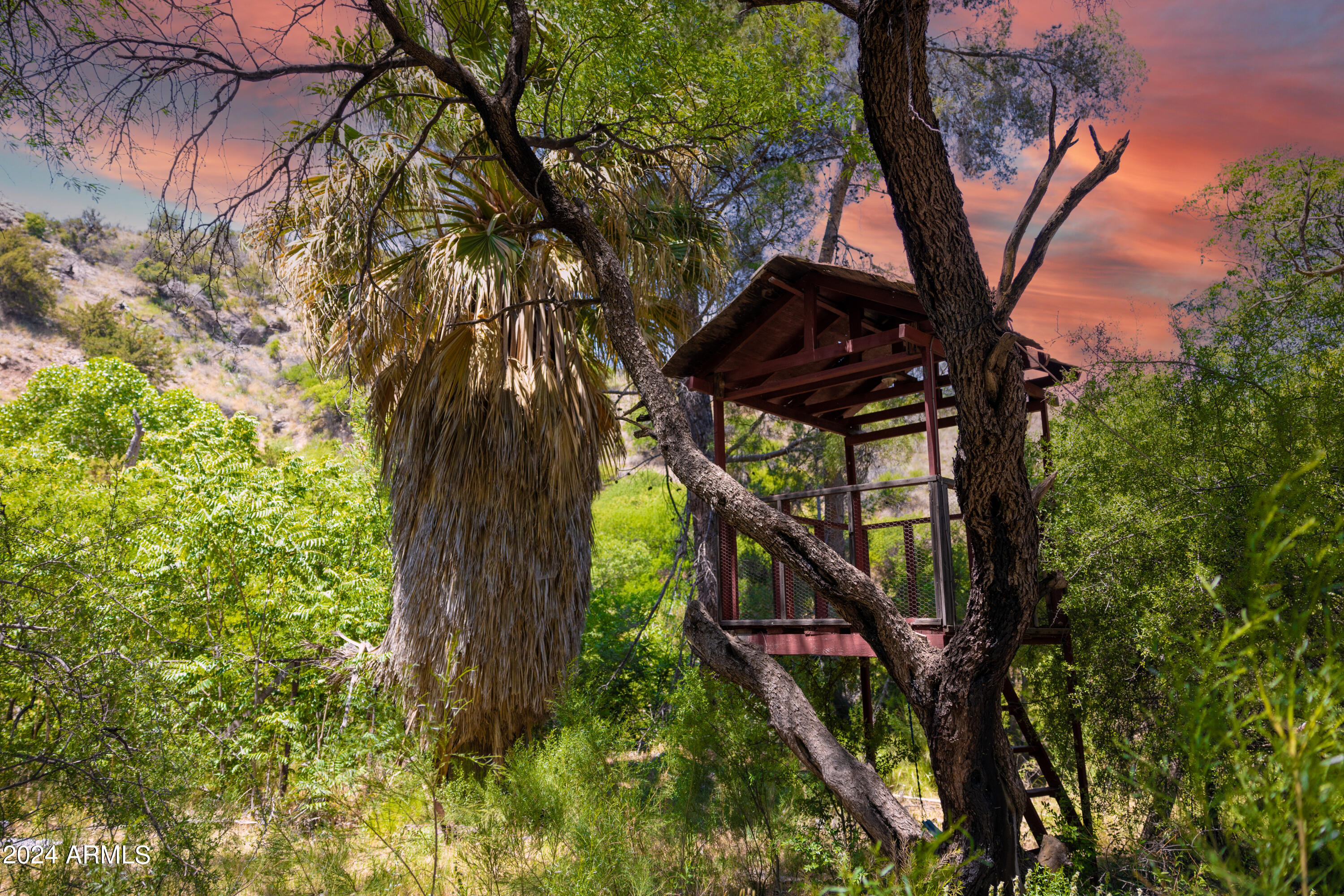 0 North Charleau Gap Road Oracle, AZ 85623 - Photo 6 of 15 a view of a backyard