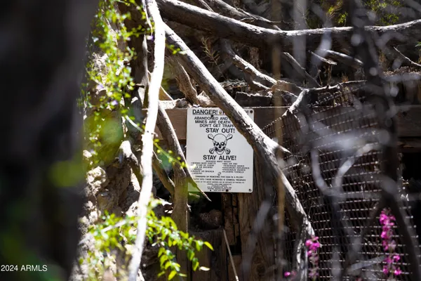 a picture of flowers