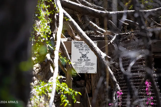 a picture of flowers