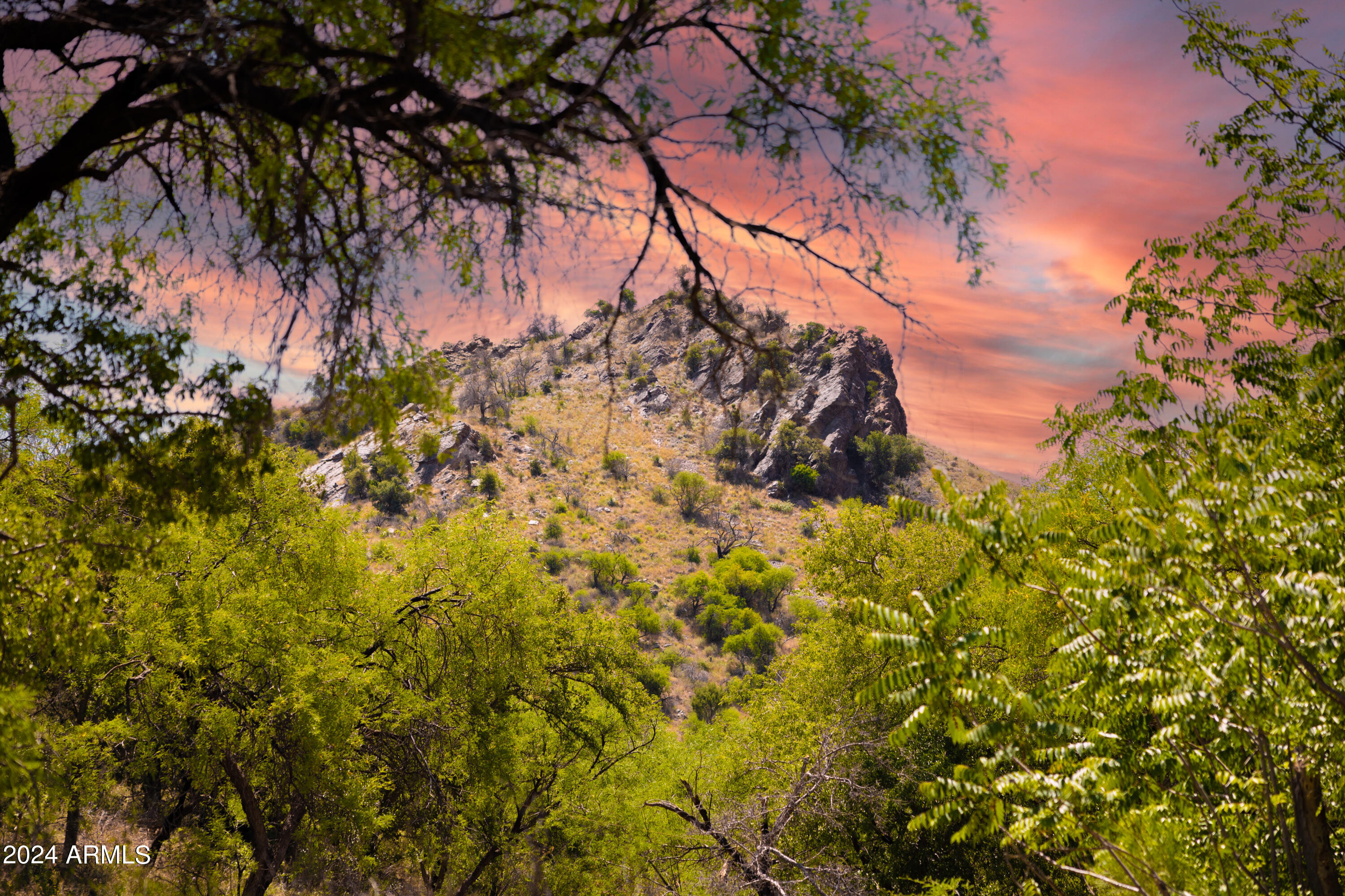 0 North Charleau Gap Road Oracle, AZ 85623 - Photo 10 of 15 a backyard of a house with lots of green space