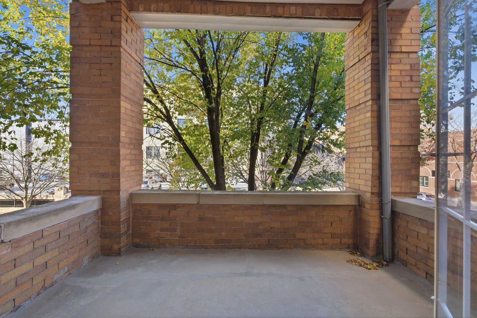 823 North Hoyne Avenue, Unit 2 Chicago, IL 60622 - Photo 13 of 20 a view of outdoor space and garden