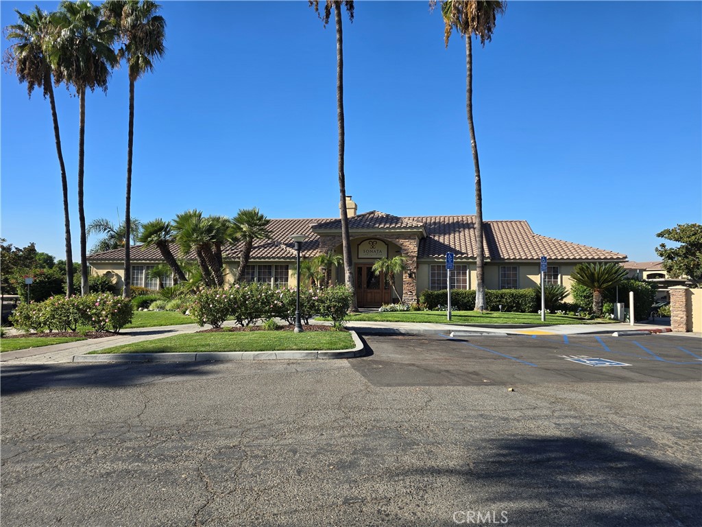 375 Central Avenue, Unit 14 Riverside, CA 92507 - Photo 1 of 22 a park with lots of palm trees