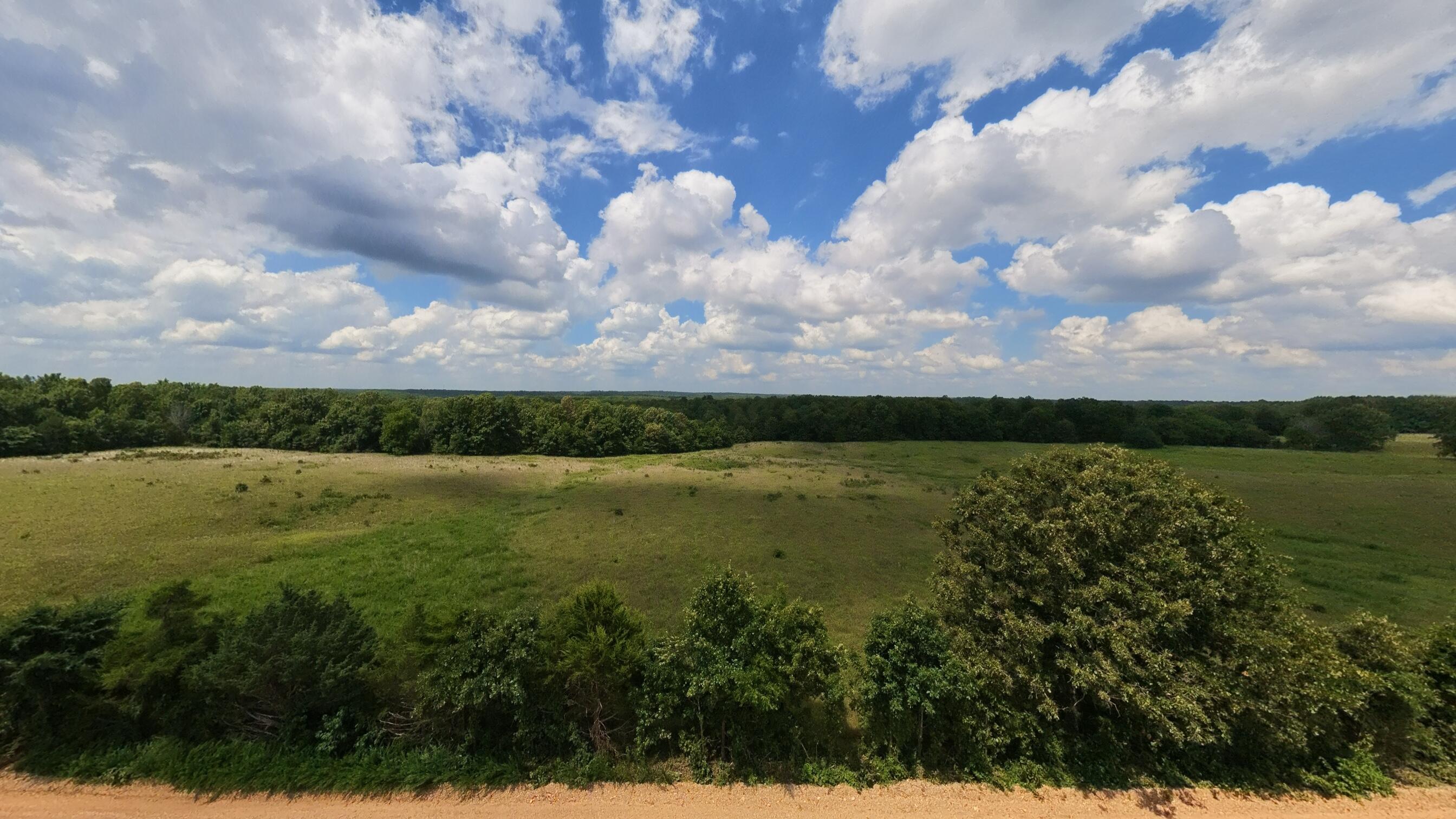189 East Wirth Road Mammoth Spring, AR 72554 - Photo 41 of 125 160 acre ranch property054