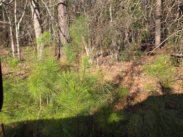 $192,000 | 4 Green River Road, Gaffney, SC 29341