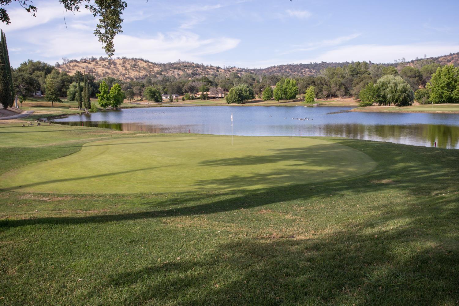 29348 Powder Horn Way Coarsegold, CA 93614 - Photo 56 of 66