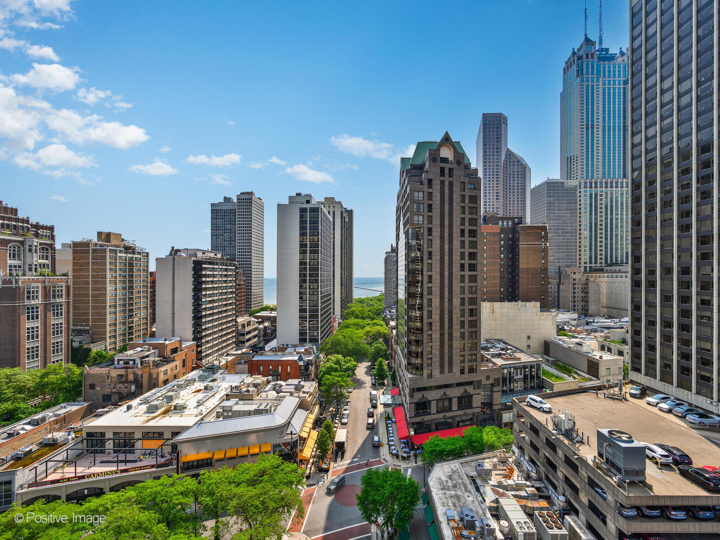 1030 North State Street, Unit 9G Chicago, IL 60610 - Photo 11 of 20 a view of city with tall buildings