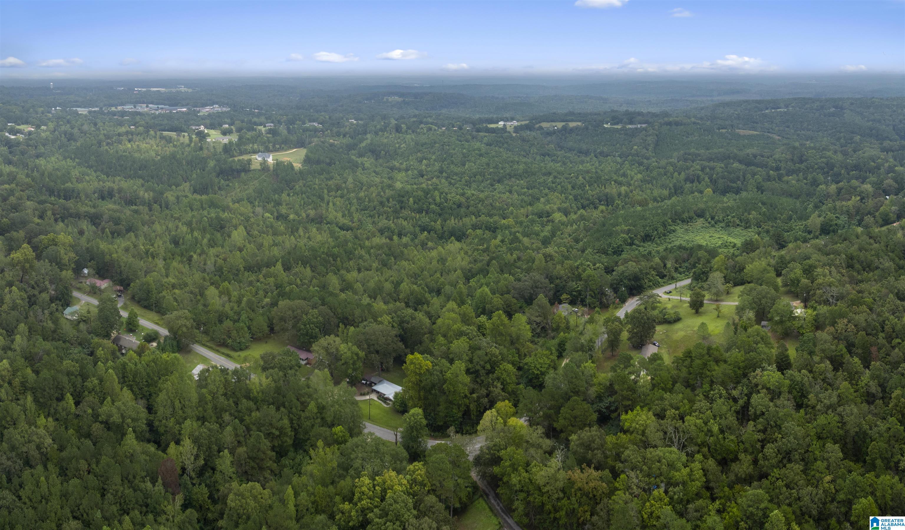 0 Beech Grove Road, Unit 1 Haleyville, AL 35565 - Photo 3 of 12