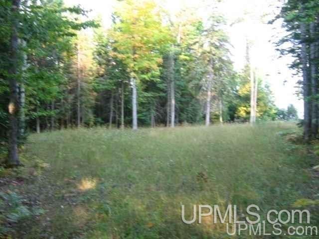 Tbd North Grosse Point Shores Road Dollar Bay, MI 49922 - Photo 14 of 16