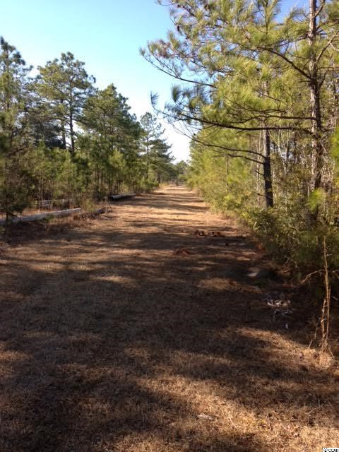 2727 Hugo Road Conway, SC 29527 - Photo 22 of 25 Gallery Image 22