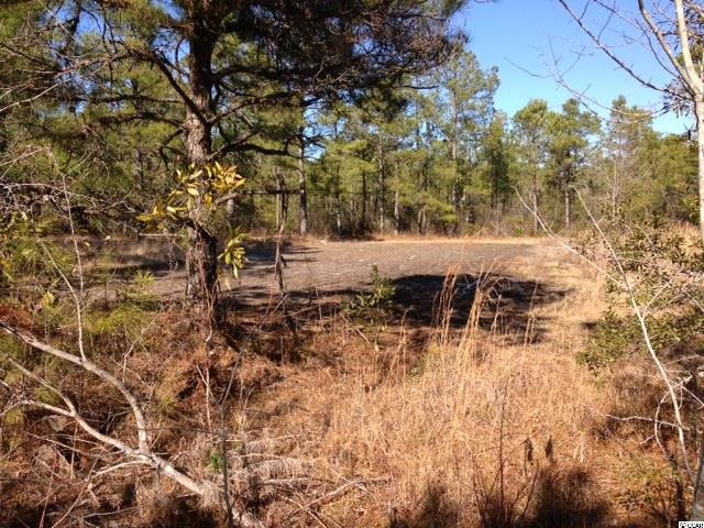 2727 Hugo Road Conway, SC 29527 - Photo 23 of 25 Gallery Image 23