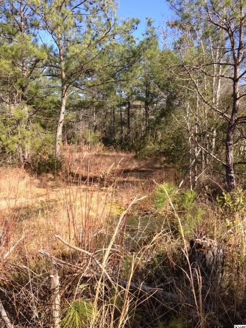 2727 Hugo Road Conway, SC 29527 - Photo 24 of 25 Gallery Image 24