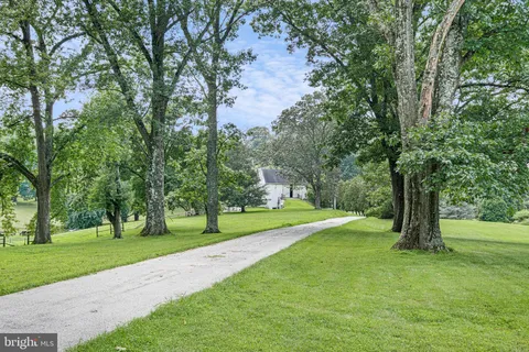 a green field with lots of trees