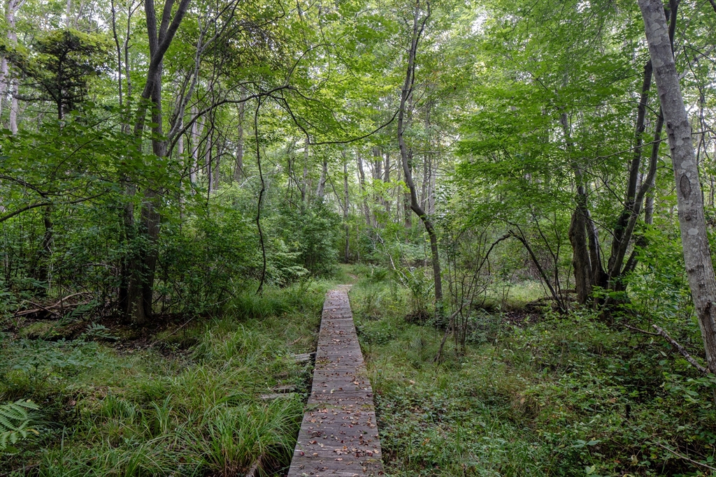 0 Ned's Point Road Mattapoisett, MA 02739 - Photo 8 of 11 a view of a pathway both side of yard