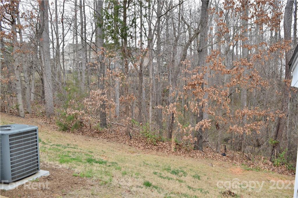 138 Limerick Road Mooresville, NC 28115 - Photo 31 of 33 a view of a dry yard with trees