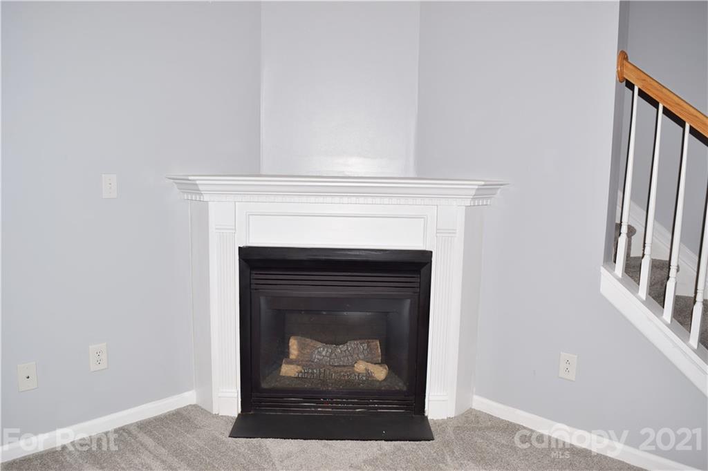 138 Limerick Road Mooresville, NC 28115 - Photo 9 of 33 a close view of a fireplace
