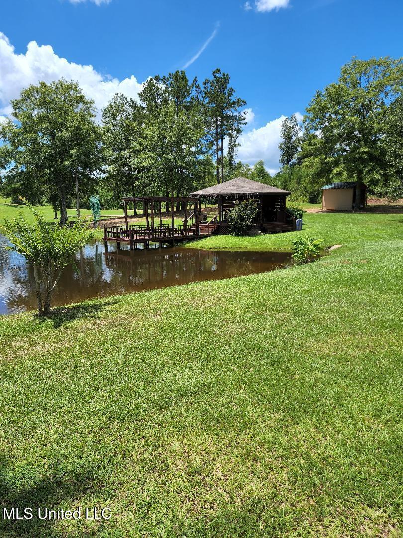 4077 Tower Road Hazlehurst, MS 39083 - Photo 4 of 10 4077 Tower Road - 8