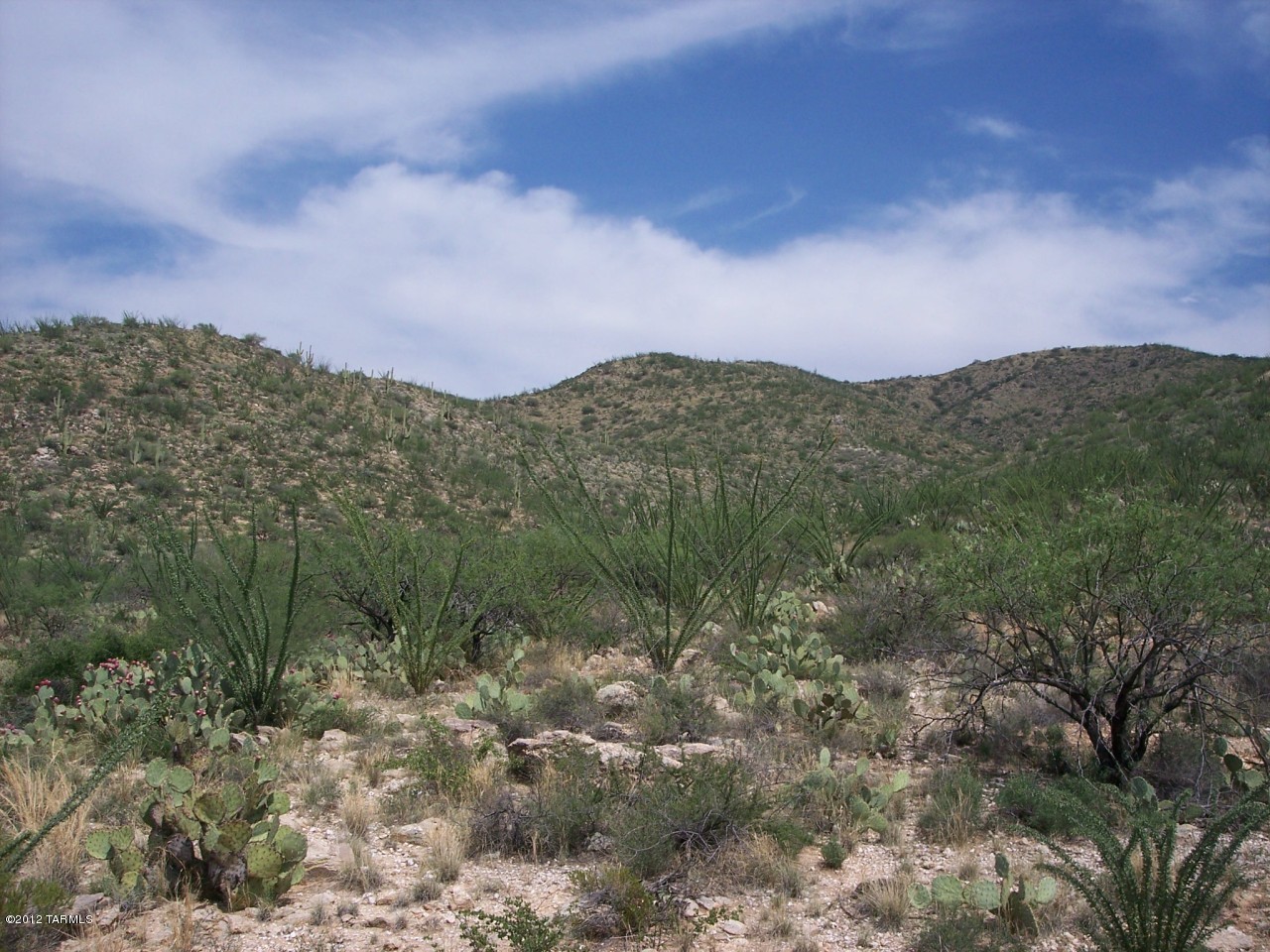 Gila Monster Way Vail, AZ 85641 - Photo 3 of 6