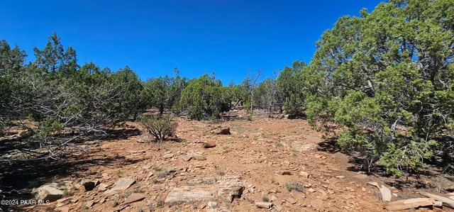 a view of a large yard with lots of bushes