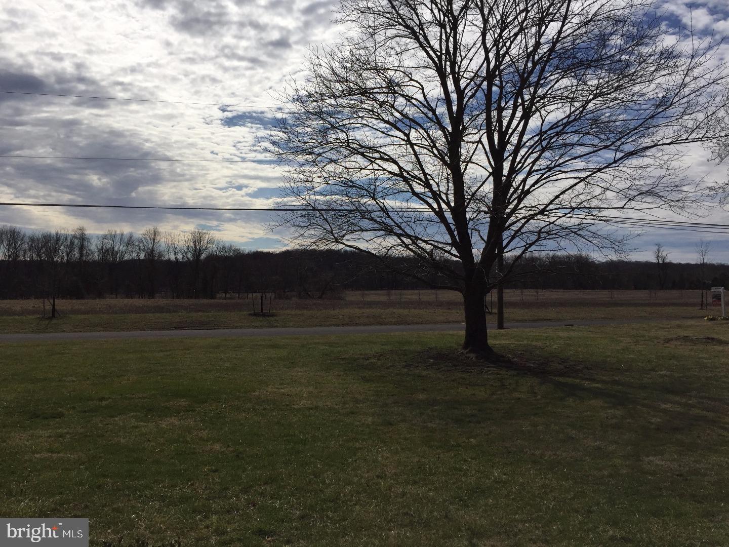 6017 Stovers Mill Road Doylestown, PA 18902 - Photo 23 of 24 View from Front Door