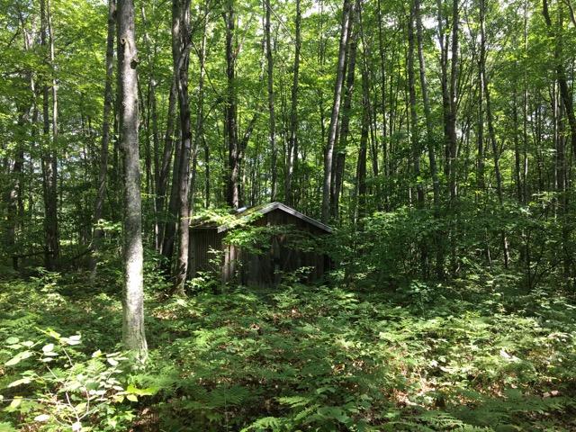 Tabitha Trail Mio, MI 48647 - Photo 2 of 22 Gallery Image 2