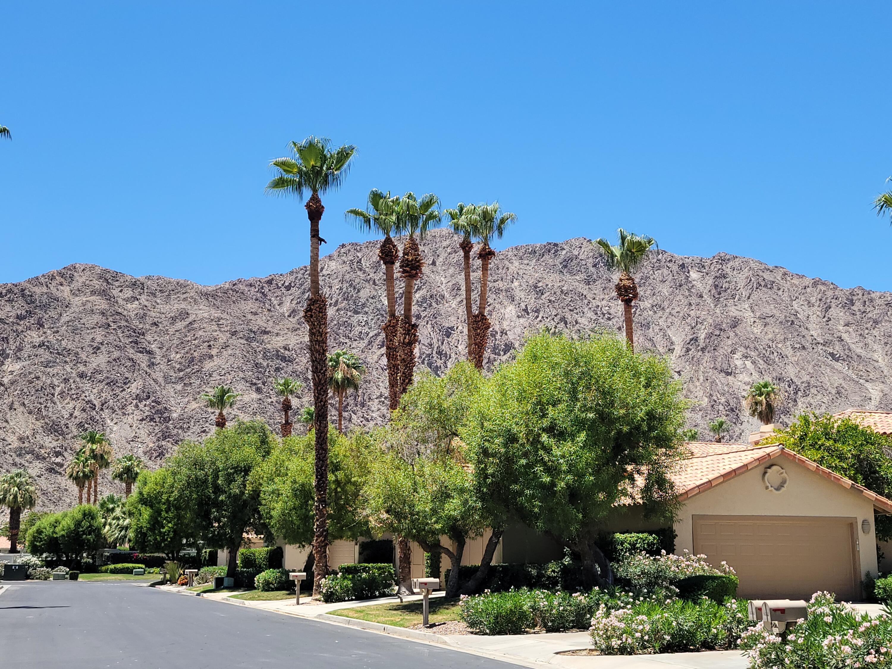 79738 Olympia Fields La Quinta, CA 92253 - Photo 38 of 50 Mountains from Street