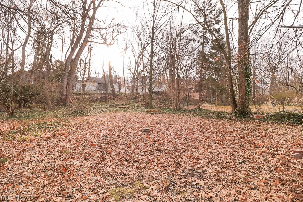 3928 Orchard Road Cleveland Heights, OH 44121 - Photo 29 of 30 Gallery Image 29