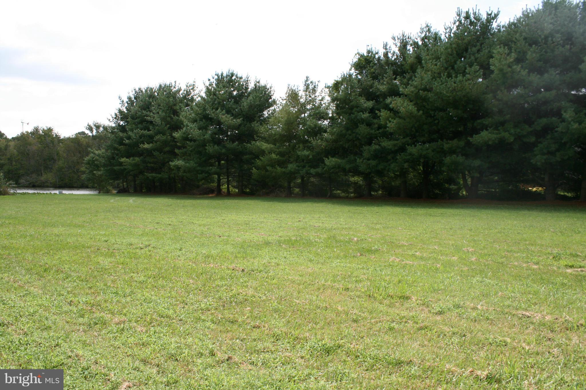 4924 Drawbridge Road Cambridge, MD 21613 - Photo 7 of 13 View
