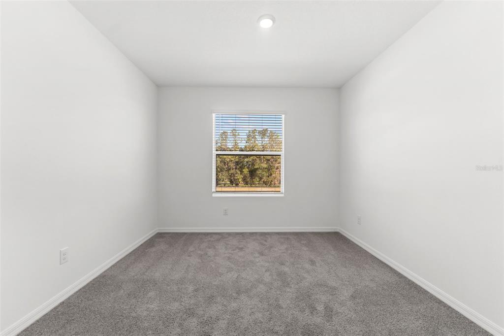 31336 Paper Birch Street Wesley Chapel, FL 33545 - Photo 27 of 38 an empty room with a window