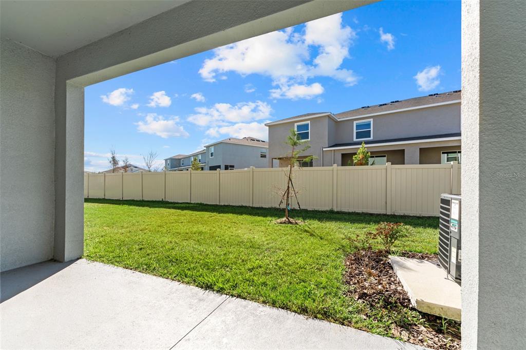 31336 Paper Birch Street Wesley Chapel, FL 33545 - Photo 31 of 38 a backyard of a house