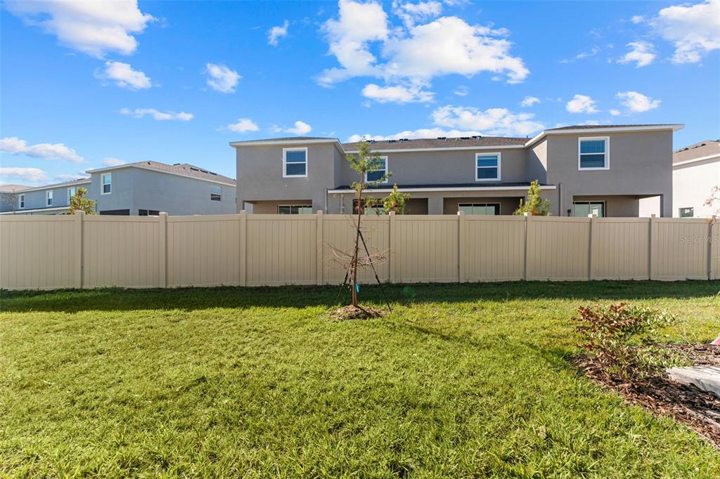 31336 Paper Birch Street Wesley Chapel, FL 33545 - Photo 33 of 38 a backyard of a house