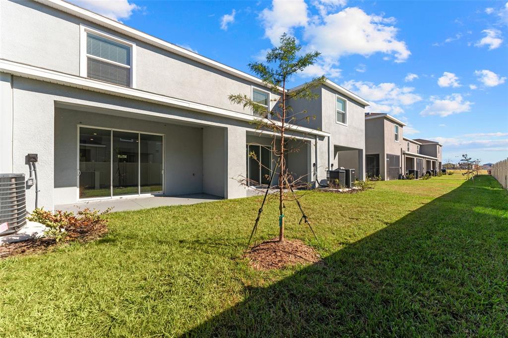 31336 Paper Birch Street Wesley Chapel, FL 33545 - Photo 34 of 38 a view of an house with backyard and a tree