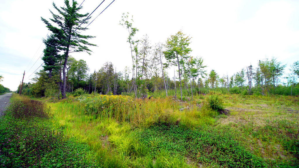 Lot 4 Callaghan Road Houlton, ME 04730 - Photo 11 of 23 davis-callaghan-rd-6