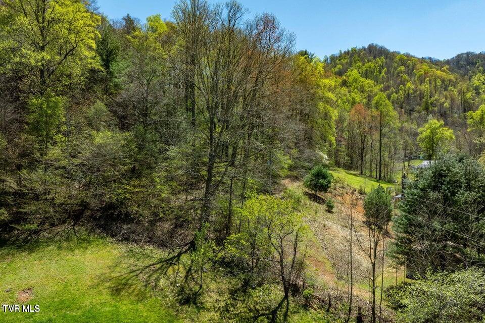 Tbd Hogum Hollow Road Roan Mountain, TN 37687 - Photo 11 of 15 hh11