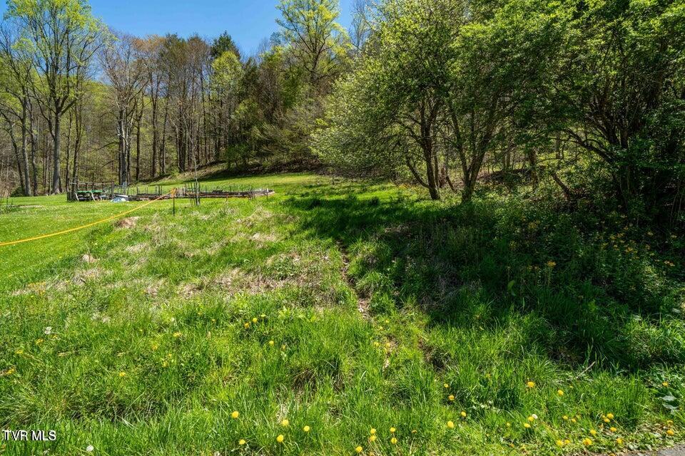 Tbd Hogum Hollow Road Roan Mountain, TN 37687 - Photo 14 of 15 hh14