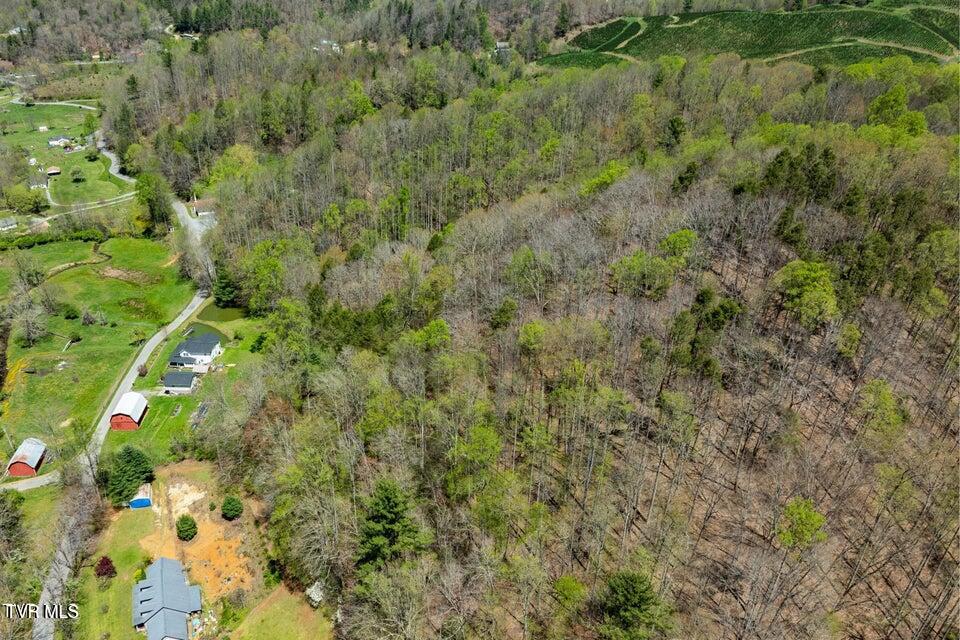 Tbd Hogum Hollow Road Roan Mountain, TN 37687 - Photo 5 of 15 hh5