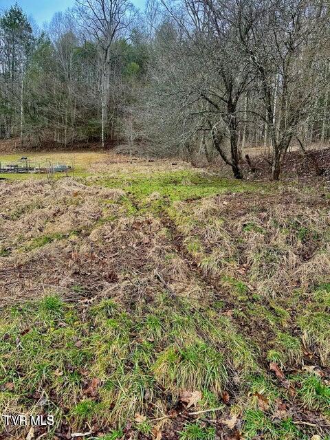 Tbd Hogum Hollow Road Roan Mountain, TN 37687 - Photo 6 of 15 hh6