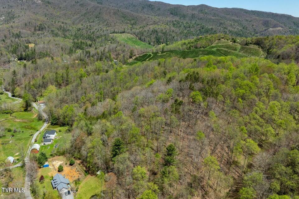 Tbd Hogum Hollow Road Roan Mountain, TN 37687 - Photo 8 of 15 hh8