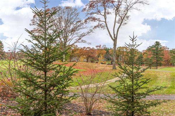 18 Clarke Road Needham, MA 02492 - Photo 30 of 30 Gallery Image 30