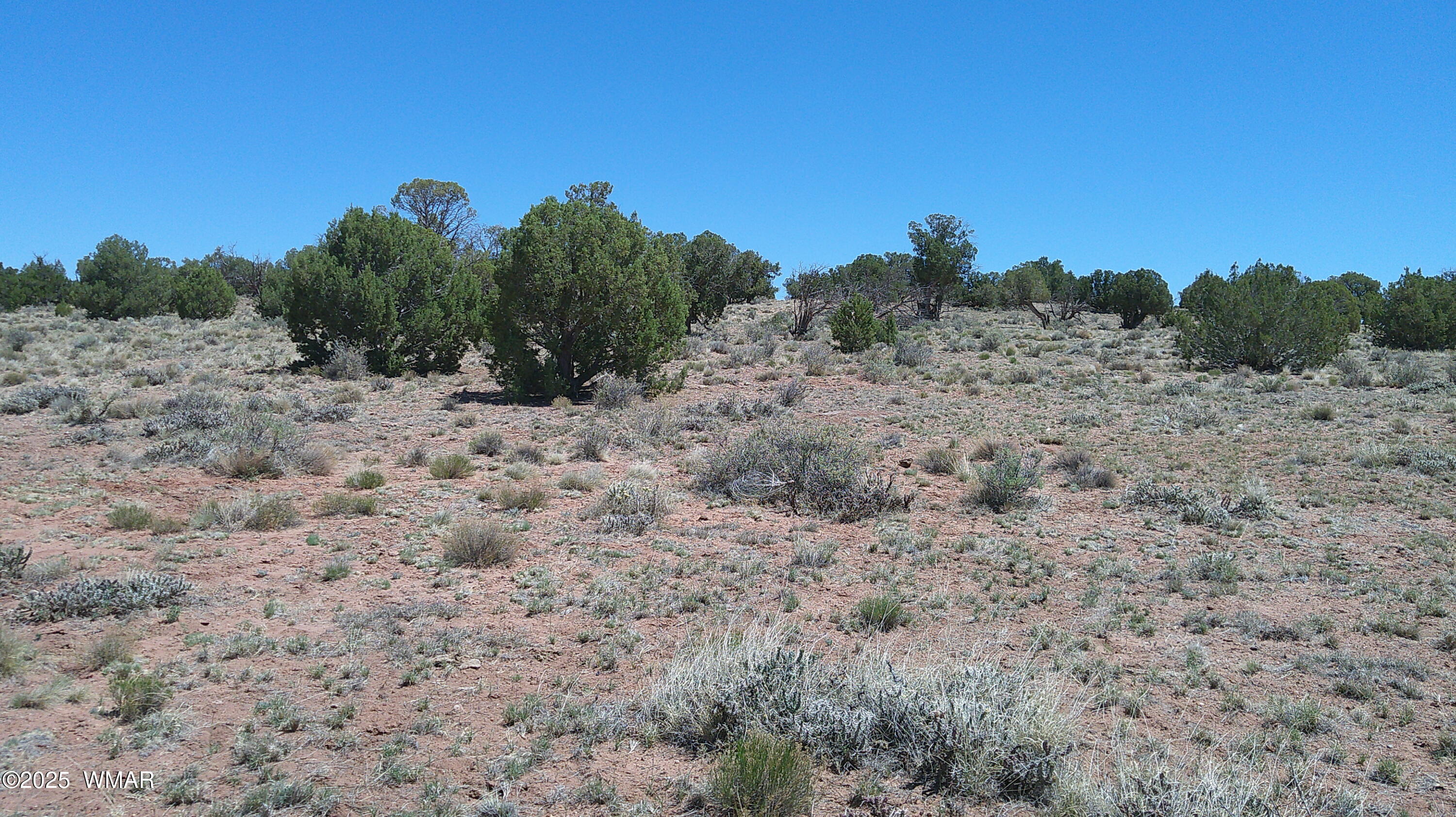 Tbd Tbd Rio Ranch Concho, AZ 85924 - Photo 16 of 44 DSCF0032