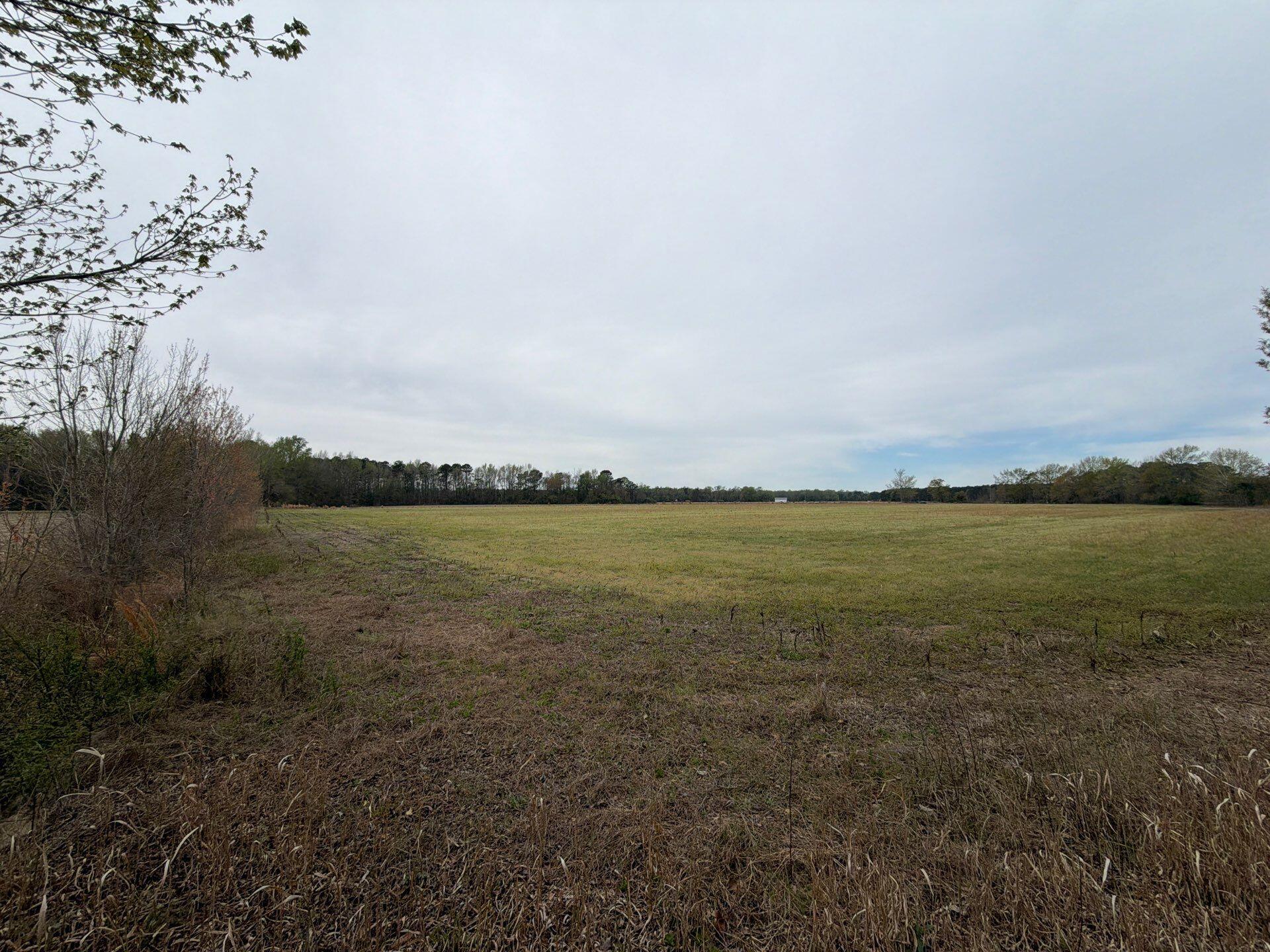 1 Judson Road, Unit MTA 1 Dillon, SC 29536 - Photo 22 of 28